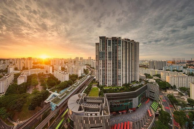 Gardens by the Bay Guided Tour - Practical details before you book