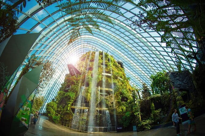 Gardens by the Bay Guided Tour - Cloud Forest: waterfall, mist, and highland plants