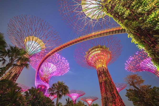 Gardens by the Bay with 2 Flower Dome + Marina Bay Sands Skypark - Key points to know before booking