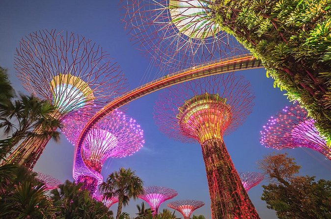 Gardens by the Bay with 2 Flower Dome + Marina Bay Sands Skypark - Marina Bay Sands SkyPark before 4pm