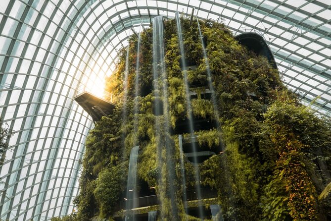 Gardens by the Bay with 2 Flower Dome + Marina Bay Sands Skypark - What the driver service really adds