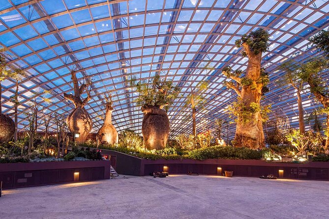 Gardens by the Bay with 2 Flower Dome + Marina Bay Sands Skypark - A five to six hour schedule that needs careful planning