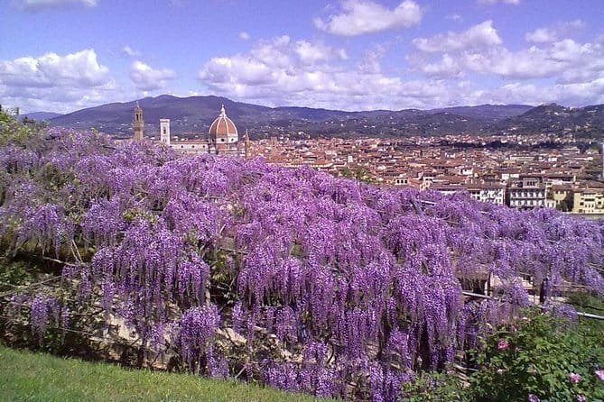 Gardens of Florence Walking Tour - A private guide changes the pace