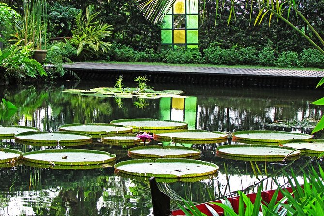 George Town Highlights & Upside Down Museum tours (4 Hours) - St. George’s Anglican Church and British-era George Town