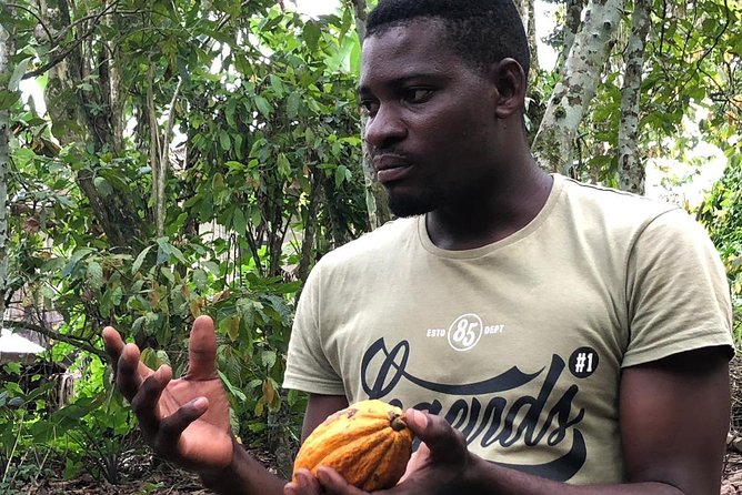 Ghana Eastern Explorer - Boti Falls, Aburi Gardens & Tetther Quarshie Cocoa Farm - What the private vehicle adds