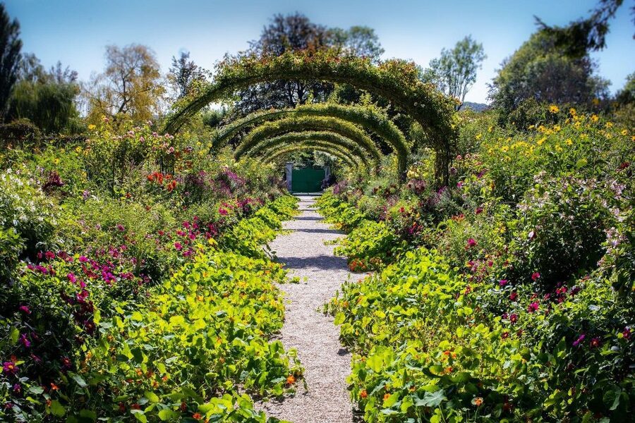 Giverny : Monet's house & Gardens Private tour from Paris - What the private guide adds
