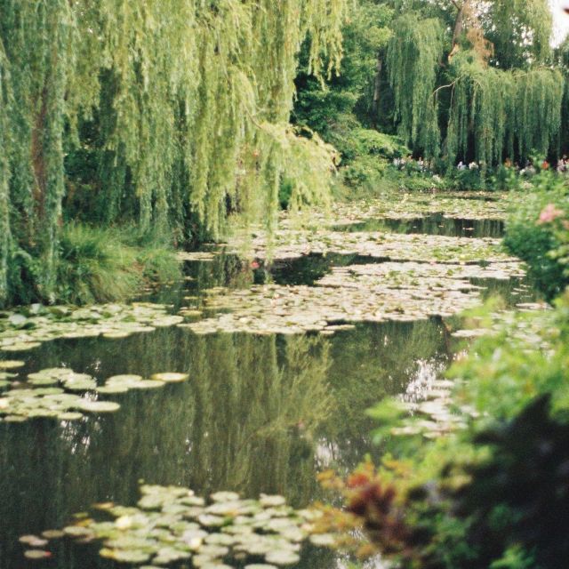 Giverny : Monet's house & Gardens Private tour from Paris - How the five-hour schedule feels