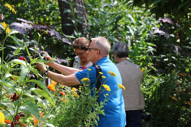 Giverny's House & Gardens plus Versailles Palace Day Trip with Lunch from Paris - Who should choose this tour?