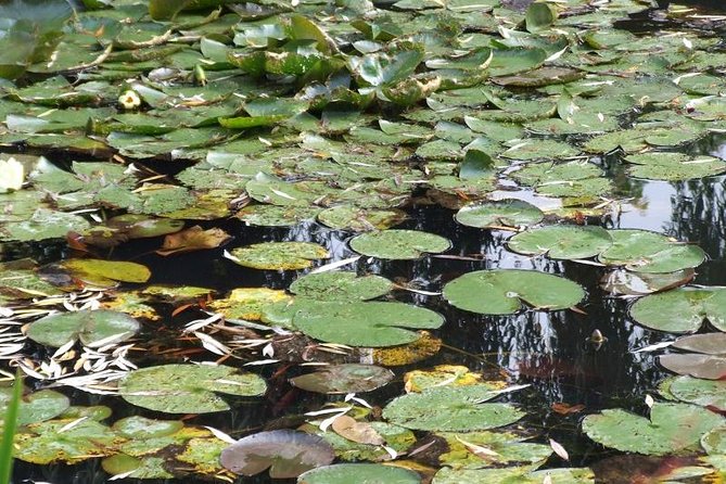 Giverny Small-Group Minivan with Hotel Pickup or Meeting Point - What you see at Monet’s house and gardens