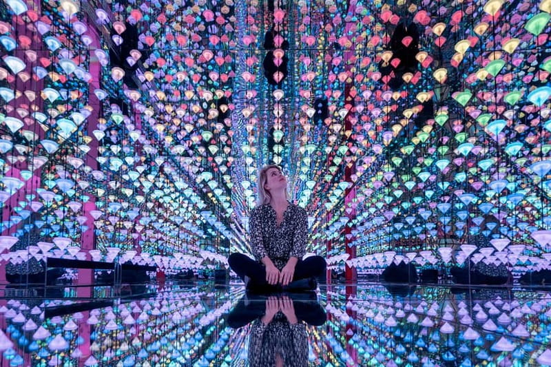 Go City Amsterdam Pass: 40+ Attractions including Keukenhof - Price and whether the savings are real