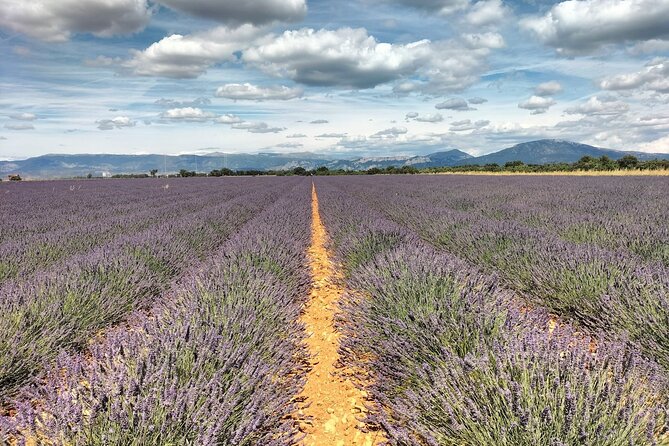 Gorges du Verdon : Lavenders, Canyon Boat Picnic & Villages - A Provençal picnic with rosé and fresh bread