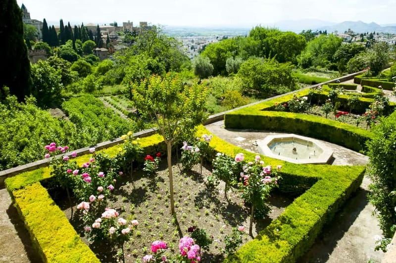 Granada: Alhambra & Gardens Tour w/Nasrid Palaces Option - Alhambra Forest, gates, and the sense of place