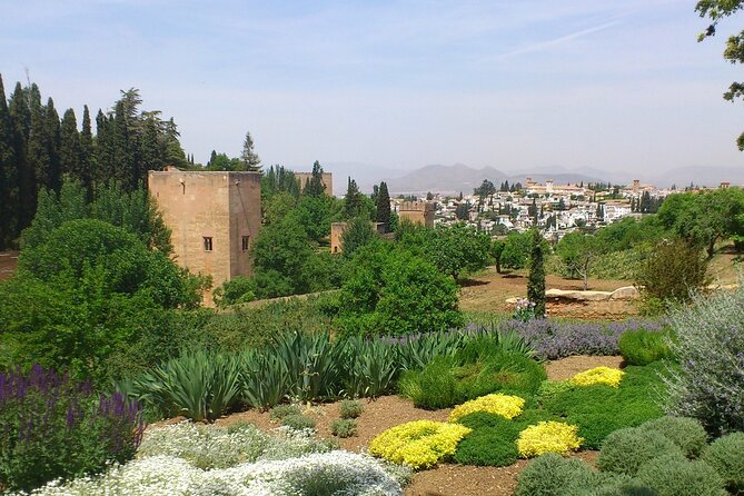 Granada Full Day Tour From Malaga - Group size, transport, and the small-group question