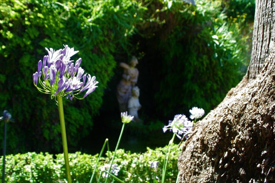 Granada: Gardens of Carmenes Guided Tour - Carmen de los Mártires and its mix of garden styles