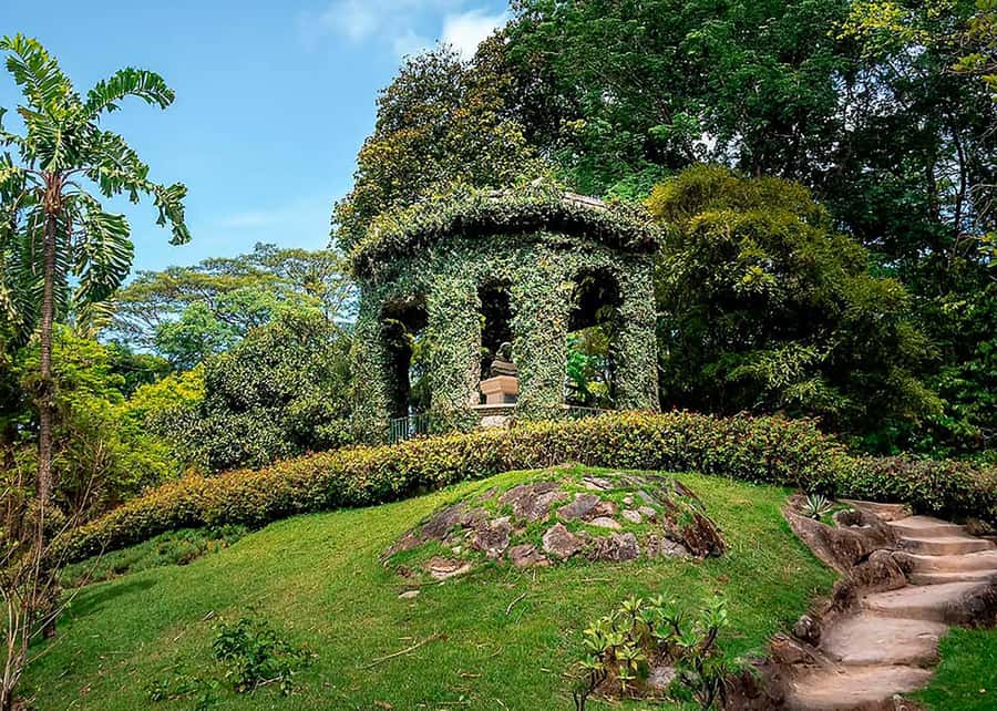 Green Rio: Guided Tour of Botanical Garden and Lage Park - What the guide adds to the visit