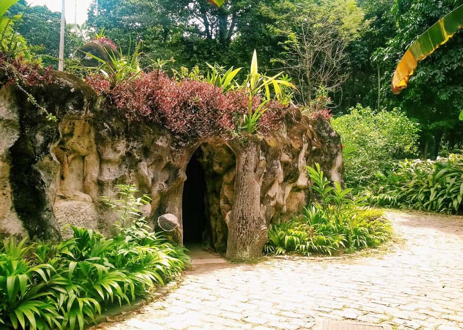 Green Rio: Guided Tour of Botanical Garden and Lage Park - Walking beneath the palms at the Botanical Garden