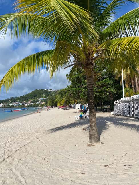 Grenada: Spice and Herb Garden Tour with Beach Visit - Why this three-hour combination works