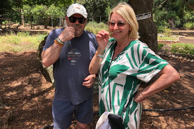 Grenada Spice Gardens, Rum & Chocolate Tour (Full/Half Day) - A quick look at St. George’s Carenage