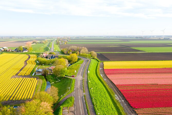 Guided Bike Tour along the Dutch Tulip Fields in Noord Holland - Why this tulip ride feels different from a flower park