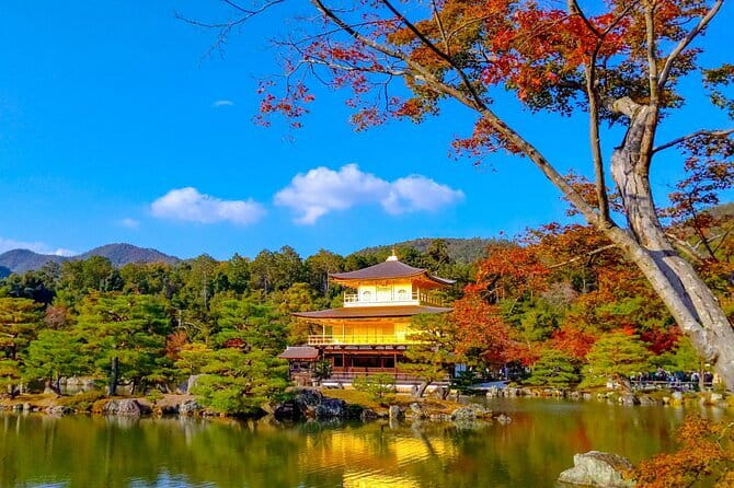 Guided Kyoto City Cherry Blossom One Day Private Tour - Fushimi Inari’s red torii paths