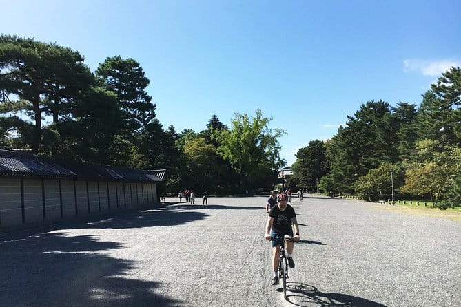 Guided Kyoto City Cherry Blossom One Day Private Tour - Gion, tea houses, and traditional wooden streets