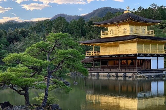 Guided Kyoto City Cherry Blossom One Day Private Tour - Bamboo Forest Street and the Arashiyama start