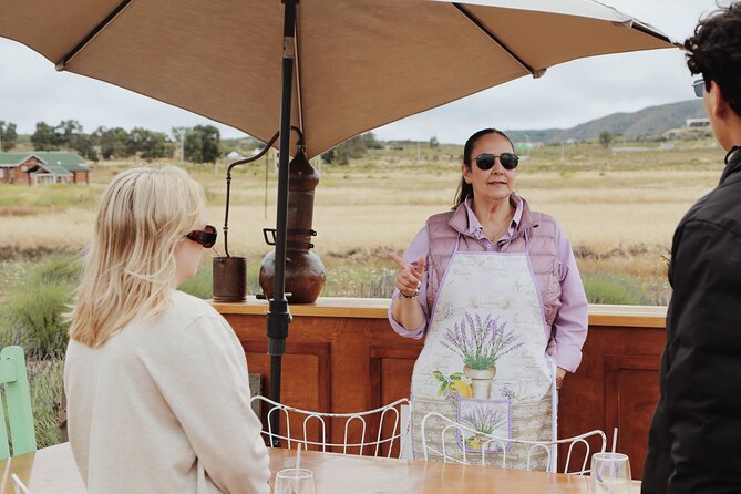 Guided Lavender Experience: Cultivation, Uses and Tasting - Lavender drink and dessert at the end