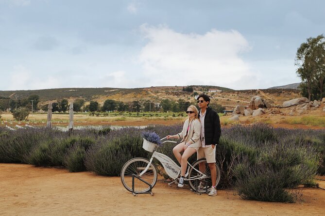 Guided Lavender Experience: Cultivation, Uses and Tasting - Who will enjoy this private lavender visit?