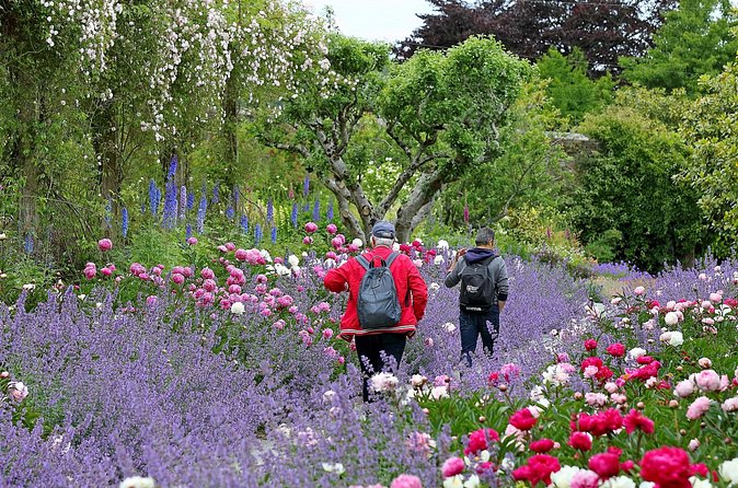 Guided Thursday Tours at Mount Congreve Gardens - The Stables Café and Secret Garden Gift Shop