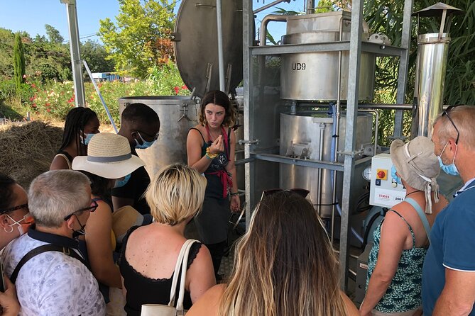 Guided tour Distillery of Lavender between Nîmes & Arles - Inside the distillery: how plants become oil