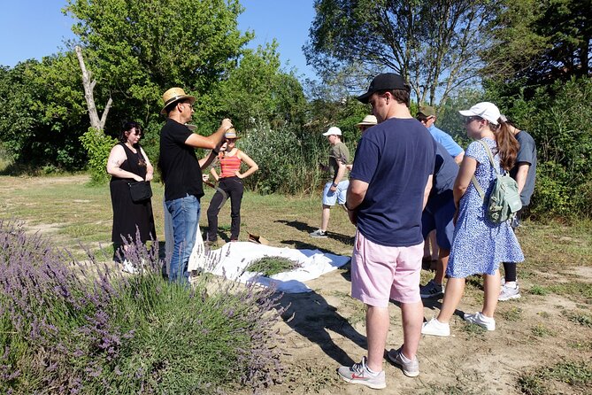 Guided tour Distillery of Lavender between Nîmes & Arles - Who will get the most from this one-hour visit