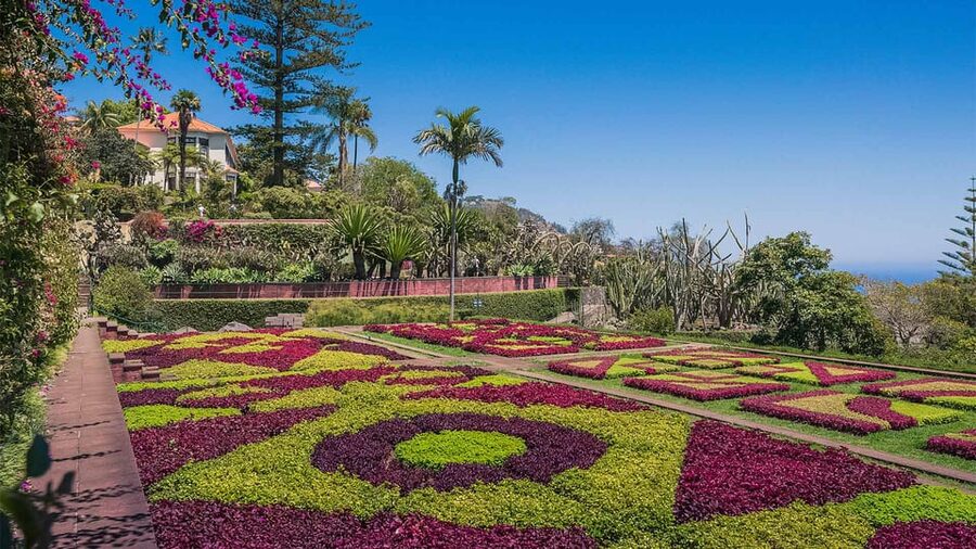 Guided Tuk-Tuk Tour to Botanical Garden (From Funchal) - Key points to know before booking
