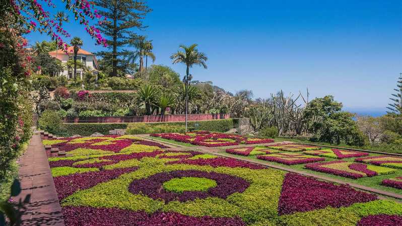 Guided Tuk-Tuk Tour to Botanical Garden (From Funchal) - A short ride with a clear purpose