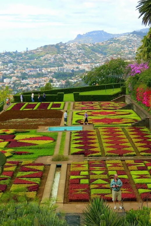 Guided Tuk-Tuk Tour to Botanical Garden (From Funchal) - Climbing Funchal’s steep streets by tuk-tuk