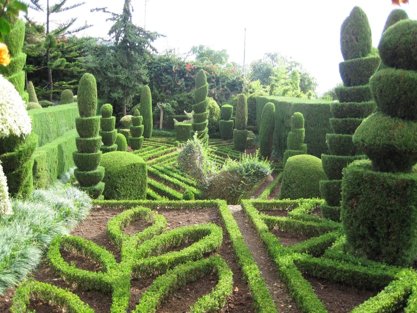 Guided Tuk-Tuk Tour to Botanical Garden (From Funchal) - Who will enjoy this most
