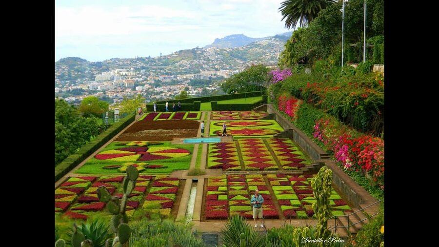 Guided Tuk-Tuk Tour to Botanical Garden (From Funchal) - Starting in central Funchal at Avenida do Mar