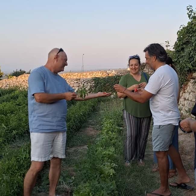 Guided visit to the Medieval Gardens of Ostuni - Key points to know before you book