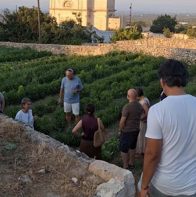 Guided visit to the Medieval Gardens of Ostuni - Walking the medieval terraces and old waterworks