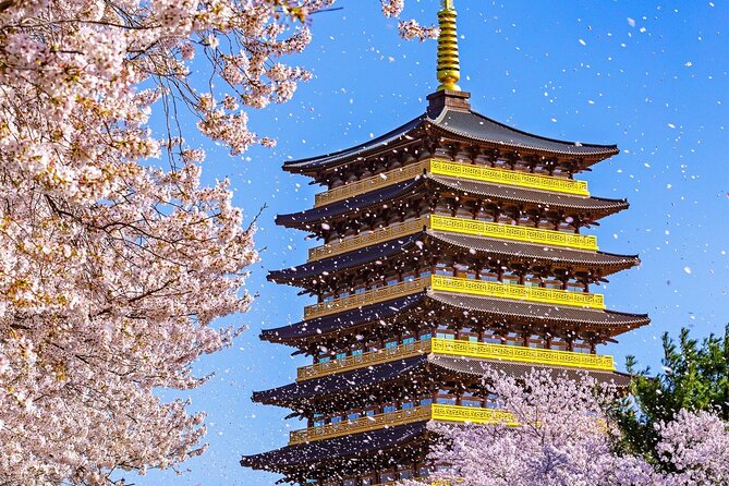 Gyeongju Cherry Blossom Day Tour from Busan (2~3 spring spots) - Key points to know before booking