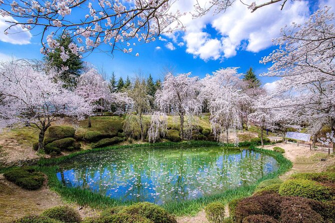 Gyeongju Cherry Blossom Day Tour from Busan (2~3 spring spots) - Why Gyeongju makes a fine spring day trip