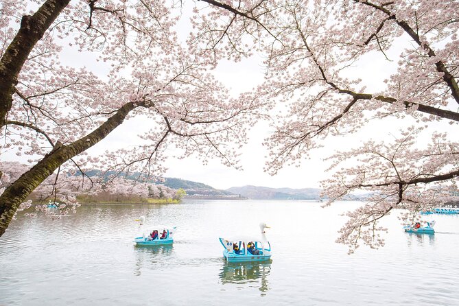 Gyeongju Cherry Blossom Day Tour from Busan (2~3 spring spots) - Daereungwon Stone Wall Road and Silla Wanggyeong Forest