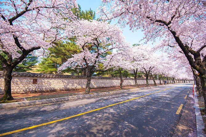 Gyeongju Cherry Blossom Day Tour from Busan (2~3 spring spots) - Cheomgseongdae Observatory and Gyerim Forest