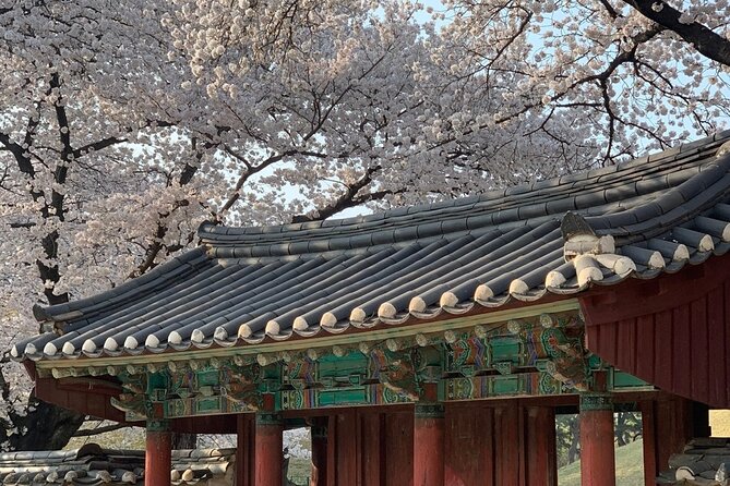 Gyeongju Cherry Blossom Day Tour from Busan (2~3 spring spots) - Woljeonggyo Bridge and Heungmu-ro