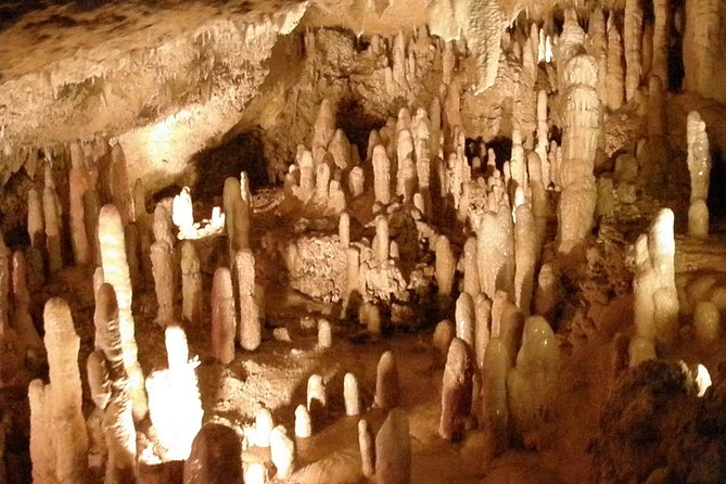 Half-Day Barbados Tour Harrisons Cave Hunte's Garden and Bathsheba - Key points to know before booking