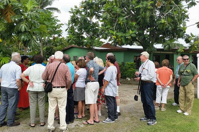 Half Day Mudpools, Veseisei Fijian Village, Gardens of Sleeping Giants &Shopping - Why this short Fiji tour works