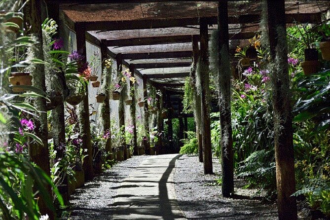 Half Day Mudpools, Veseisei Fijian Village, Gardens of Sleeping Giants &Shopping - Nadi Town markets, temple, and shopping time