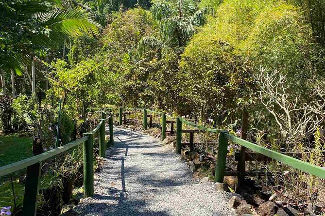 Half Day Nadi Tour Temple, Market, Gardens and Mud Pools - Why this half-day route works