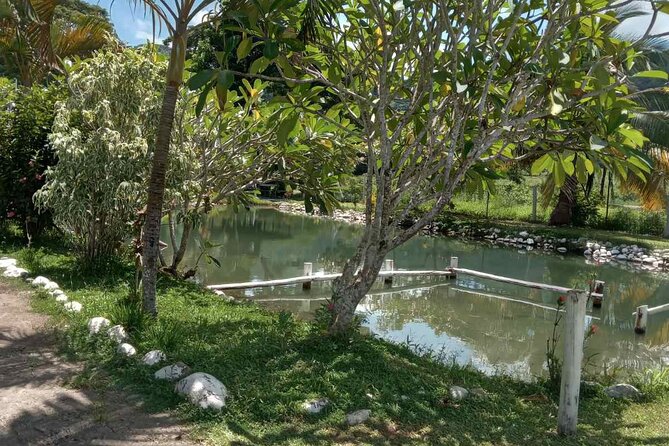 Half Day Nadi Tour Temple, Market, Gardens and Mud Pools - Who will enjoy this Nadi tour most