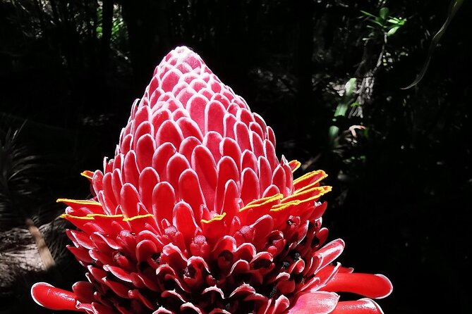Half-Day Nature Culture Excursion, Tropical Taino Garden Tour - The drive to Tubagua and its mountain views