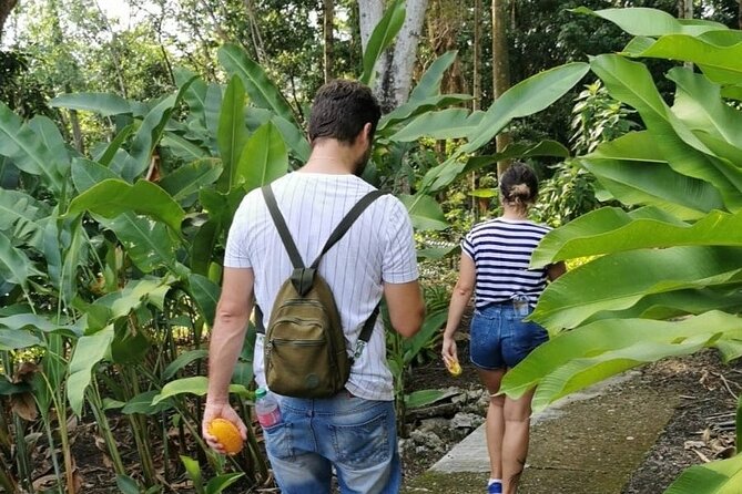 Half-Day Nature Culture Excursion, Tropical Taino Garden Tour - A traditional Dominican lunch in the garden setting